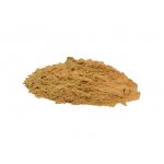 Salvia Paradise Maka gelatinizovaná Lepidium meyenii prášek Bio 100 g – Hledejceny.cz