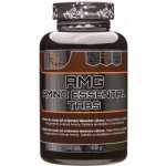 Nutristar AMG Amino Essential 150 tablet – Hledejceny.cz