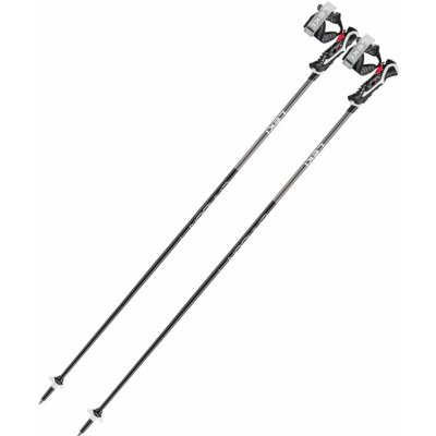 Leki Carbon 14 3D 2024/25 – Zboží Dáma