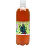 Stevikom Kombucha Meduňka 0,5 l – Zboží Dáma