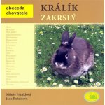 Králík zakrslý – Hledejceny.cz