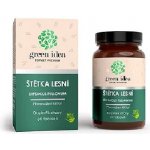 Green idea Štětka lesní 60 kapslí – Hledejceny.cz