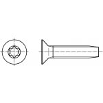 PROFISTYL DIN 7500MT šroub závitotvorný se zápustnou hlavou TORX pozink Varianta: DIN 7500MT šroub závitotvorný zápustná hlava TORX ZnB M6x25 – Sleviste.cz