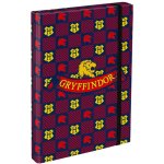 Baagl A4 Harry Potter Nebelvír 29x43 cm A-32011 – Hledejceny.cz