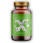 BrainMax Quercetin & Bromelain Kvercetin a Bromelain 100 rostlinných kapslí – Hledejceny.cz