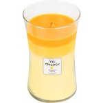 WoodWick Trilogy Fruits of Summer 609,5 g – Hledejceny.cz