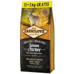 Carnilove Salmon & Turkey for Large Breed Adult Dogs 2 x 12 kg – Sleviste.cz