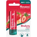 Himalaya Herbals balzám na rty s jahodovým leskem 4,5 g – Zboží Dáma