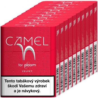 Camel Velvet karton – Zboží Dáma