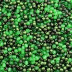 Mix ohňovek 3 mm zelený – Zboží Dáma