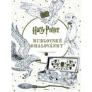 Kniha Harry Potter Colouring Book