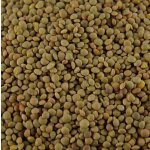 Bartolini Lenticchie Umbre čočka z Umbrie 0,5 kg – Zboží Dáma