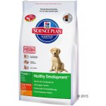 Hill’s Puppy Large Breed 16 kg – Hledejceny.cz