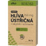 Vitar EKO Hlíva ústřičná 60 kapslí – Hledejceny.cz