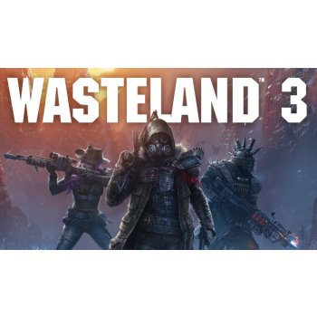 Wasteland 3