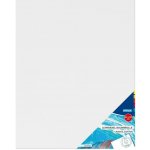 Stylex Malířské plátno 40 x 50 cm – Sleviste.cz