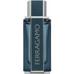 Salvatore Ferragamo Pour Homme toaletní voda pánská 100 ml – Hledejceny.cz