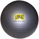 Everlast 65 cm