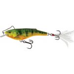SALMO Rail shad sinking 6 cm super natural hot perch – Hledejceny.cz
