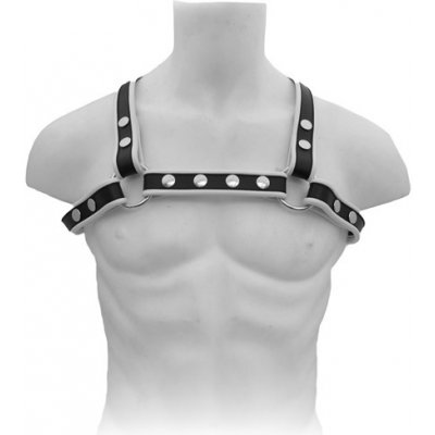 Mister B X Back Harness Premium kožený harnes – Zboží Mobilmania