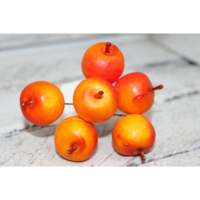 Rosa Jablíčka na drátku svazek 6 ks oranžová – Sleviste.cz