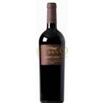 Ca Rugate z Veneto Ca Rugate Campo Lavei Valpolicella Superiore DOC 13,5% 0,75 l (holá láhev) – Hledejceny.cz