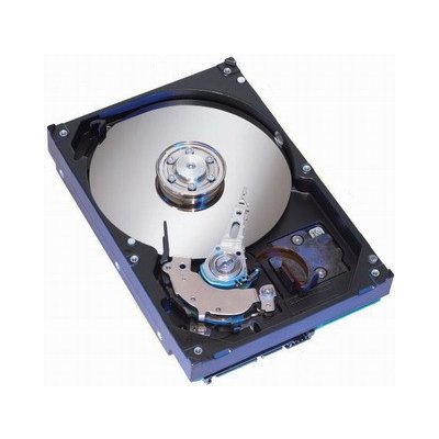 Seagate Barracuda ES.2 7200.11 250GB, 3,5", SATAII, 7200RPM, 32MB,ST3250310NS – Hledejceny.cz