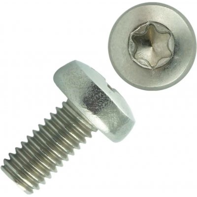 Šroub ISO 14583/DIN 7985 nerez A2 M6x16 Torx – Sleviste.cz