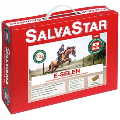 Salvana SALVASTAR E Selen 5 kg – Hledejceny.cz