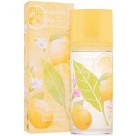 Elizabeth Arden Green Tea Honeysuckle toaletní voda dámská 100 ml – Hledejceny.cz