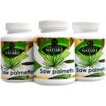 Golden Nature 2+1 Saw Palmetto 45% mastných kyselin 100 kapslí – Hledejceny.cz