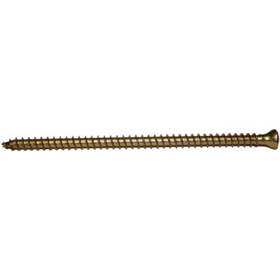Vruty RAPI-TEC VG 8x160mm válcová hlava TX40 galvanický zinek – Hledejceny.cz