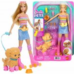 Mattel Barbie a pejsek na kolečkových bruslích JMJ44 – Hledejceny.cz