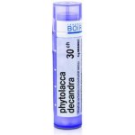 PHYTOLACCA DECANDRA POR 30CH GRA 4G – Hledejceny.cz