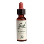 Bachovy květové esence Vrba žlutá Willow 20 ml – Hledejceny.cz