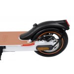 City Boss RS350 – Zboží Dáma