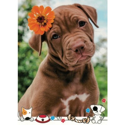 Pohlednice Štěně 127 – Zboží Dáma