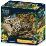 PRIME 3D PUZZLE GES Jaguar 100 ks – Hledejceny.cz