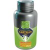 Vitamíny pro psa AlterVet Trade Cartilan CBD+ 40tbl