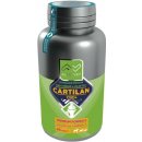 AlterVet Trade Cartilan CBD+ 40tbl