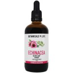 Botanicals 4 life Bylinná tinktura z extraktů echinacey a olivových listů 100 ml – Hledejceny.cz