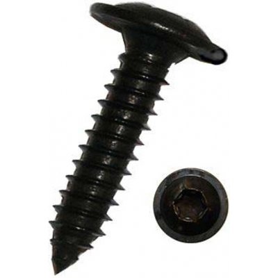 10093865 Samořezné šrouby do plechu TORX 4,8x16 mm, nerezové A2, černé, sada 100 ks – Hledejceny.cz