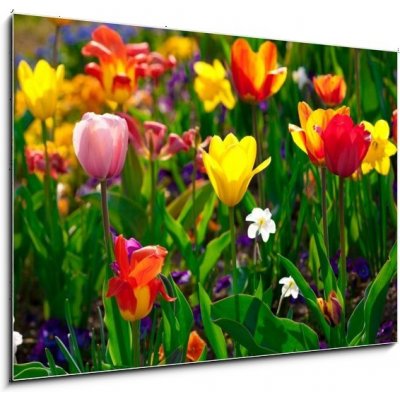 Skleněný obraz 1D - 100 x 70 cm - Sea of flowers Květinové moře – Zboží Mobilmania