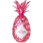 Pinaq Rosé 17% 1 l (holá láhev) – Zboží Dáma