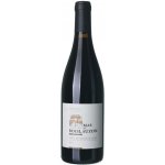 Mas de Boislauzon Cotes du Rhone Villages suché červené 2023 15% 0,75 l (holá láhev) – Hledejceny.cz