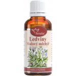 Serafin tinktura ze směsi pupenů Ledviny a močový měchýř 50 ml – Hledejceny.cz