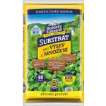 Forestina Hoštický Substrát pro výsev a množení 20 l – Zboží Dáma