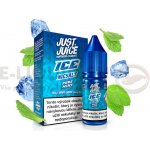Just Juice Salt ICE Pure Mint 10 ml 11 mg – Sleviste.cz