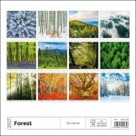 nástěnný Forest/Wald/Les 30cm x 30cm, N171-27 2027 – Hledejceny.cz