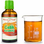 Celík zlatobýl kanadský kapky Duše rostlin 50 ml – Hledejceny.cz